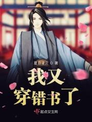 我又穿越了在线阅读