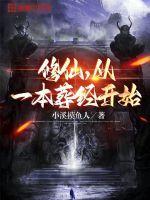 修仙从一本葬经开始TXT