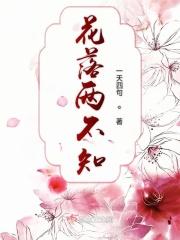 花落不知处是什么意思?