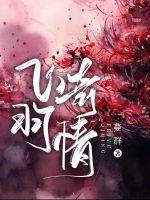 飞羽tv