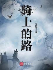 骑士之路攻略
