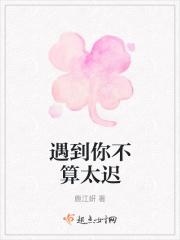 遇见你不算晚的句子