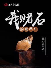 我赌石的那些年阅读