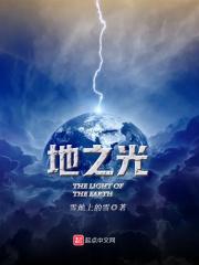 地之光公司