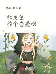杜先生是什么