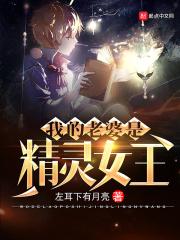 我的精灵老婆攻略