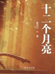 十二个月亮的故事