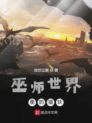 巫师世界介绍
