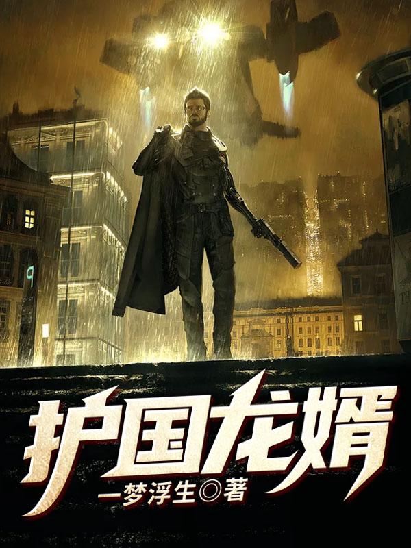 萧战穆如雪全集