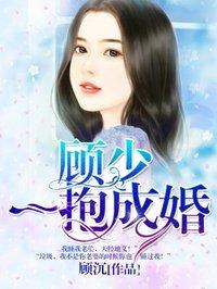 顾少一包成婚