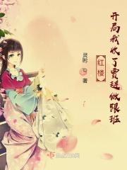 红楼之开局废了贾珍 飞卢