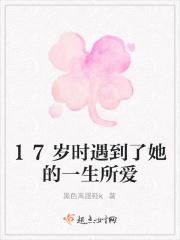 十七岁遇到的那个人