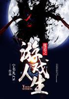 关于魔道的游戏