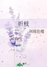 折枝伴酒的全部