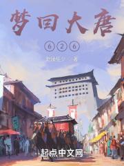 梦回大唐 时间