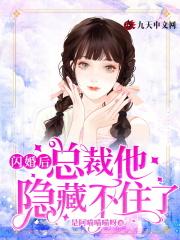 闪婚总裁隐瞒身份