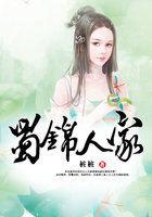 电视剧蜀锦人家