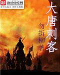 大唐刺客聂隐娘梁小冰国语版一共多少集