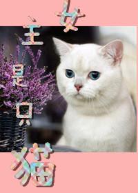 有一部女主是一只猫