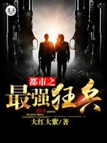 官场红颜路全文免费阅读全文155章
