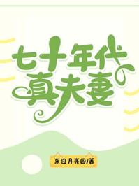 七十年代真夫妻东