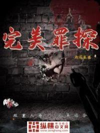 完美罪案免费