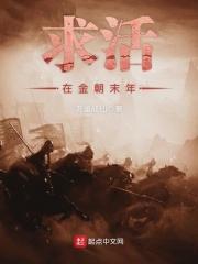 穿越金朝末年