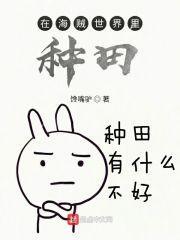 在海贼世界当作家