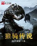 狼骑套装