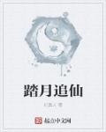 踏月寻桂什么意思