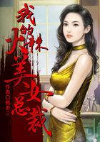 我的美女总裁改编