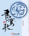 青鸾歌双重生