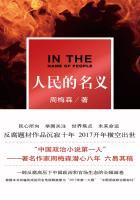 dvd人民的名义