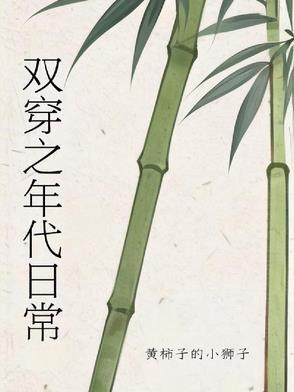 双穿的年代文