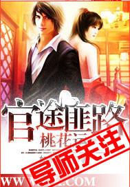 官场布衣几个女主