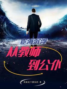宦海沉浮从教师到公仆 我就是个摸鱼的