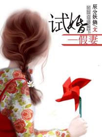 试婚夫妻
