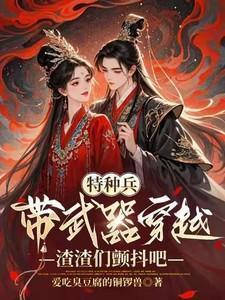 特种兵带武器库穿越明末的