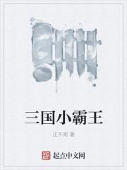 三国游戏小霸王