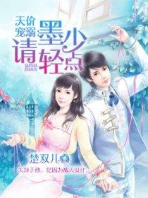 墨少的天价狂妻