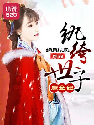 纨绔世子妃阅读