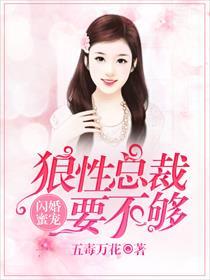 闪婚蜜宠狼性总裁要不够免费阅读无弹窗