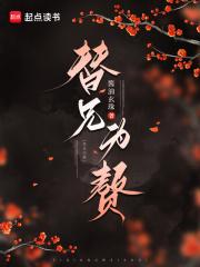 替兄*嫂(现代gl扶她)作者敬儿