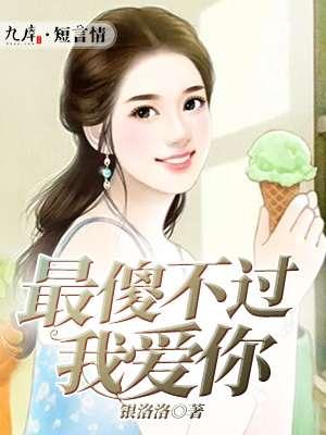 最傻的傻瓜歌词是什么意思