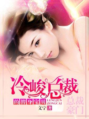 冷峻总裁的替身宝贝 作者文宁