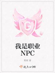 我的职业npc