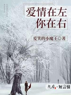 爱在左边而情在右意思
