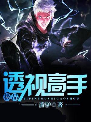 极品透视高手杨帆