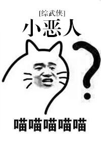 综武侠小恶人