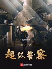 我不是超级警察 奇书网